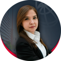 ICLawyers-Luz-Lilian-Pedroza-Torres